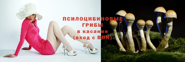 apvp Богородск