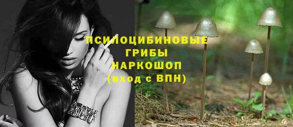apvp Богородск