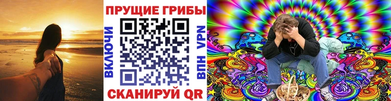где найти наркотики  Городовиковск  Псилоцибиновые грибы прущие грибы 